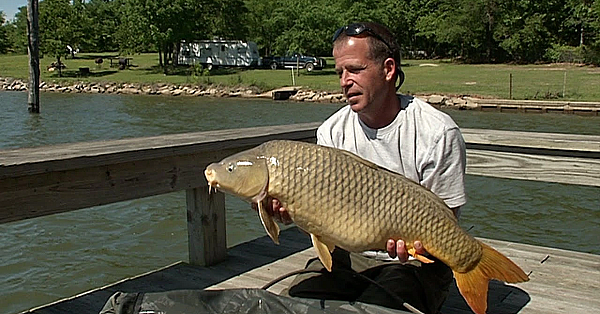 Catching Carp, The International Pursuit - Texas Parks And Wildlife [official]