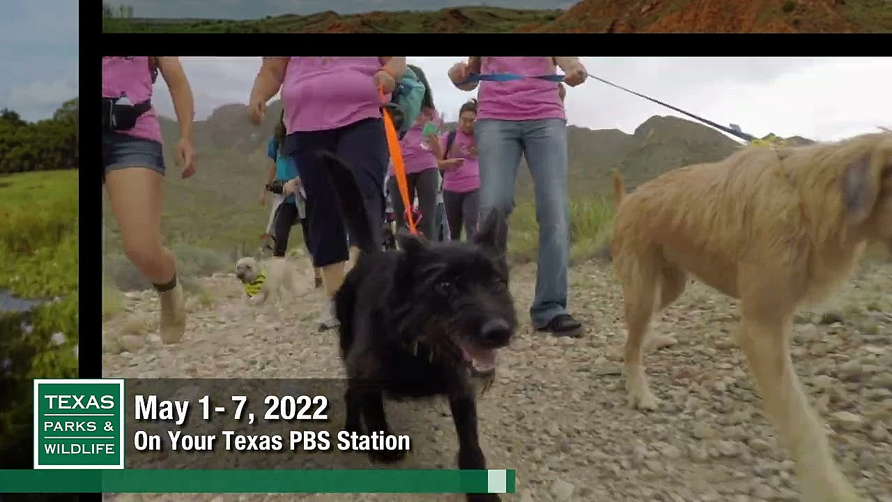 Pbs Preview - Bayou City Wilds, Furry Friend Hike, Martin Creek Lake