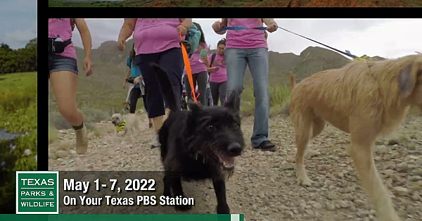 Pbs Preview - Bayou City Wilds, Furry Friend Hike, Martin Creek Lake