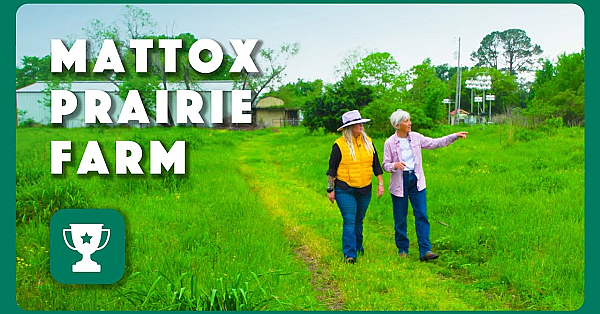 Mattox Prairie Farm - 2024 Lone Star Land Steward