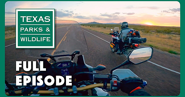 Pbs Show - Gravel Roads Of Texas, San Angelo State Park &amp; Hawk Watcher