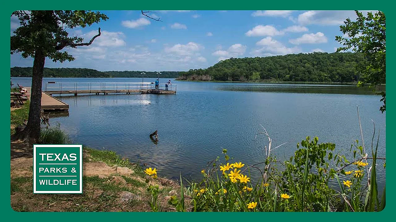 Pbs Preview - Lights Out For Birds, Lake Mineral Wells &amp; Parks On Exhibit