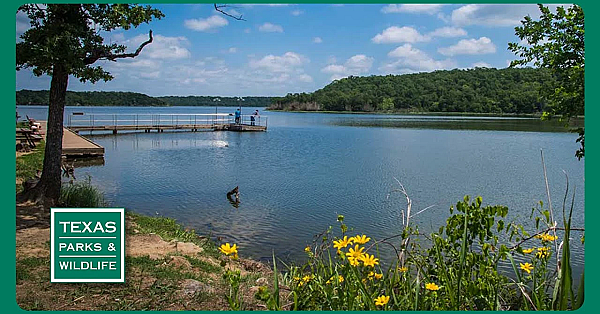 Pbs Preview - Lights Out For Birds, Lake Mineral Wells &amp; Parks On Exhibit