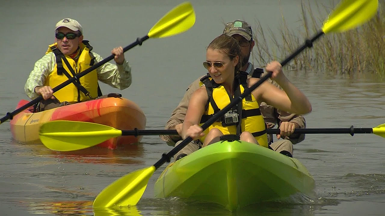 Pbs Show - Saving Sea Turtles, Powderhorn Legacy, Best Of Bruce, #2826