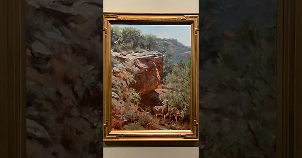 Art Inspired By Texas State Parks #shorts