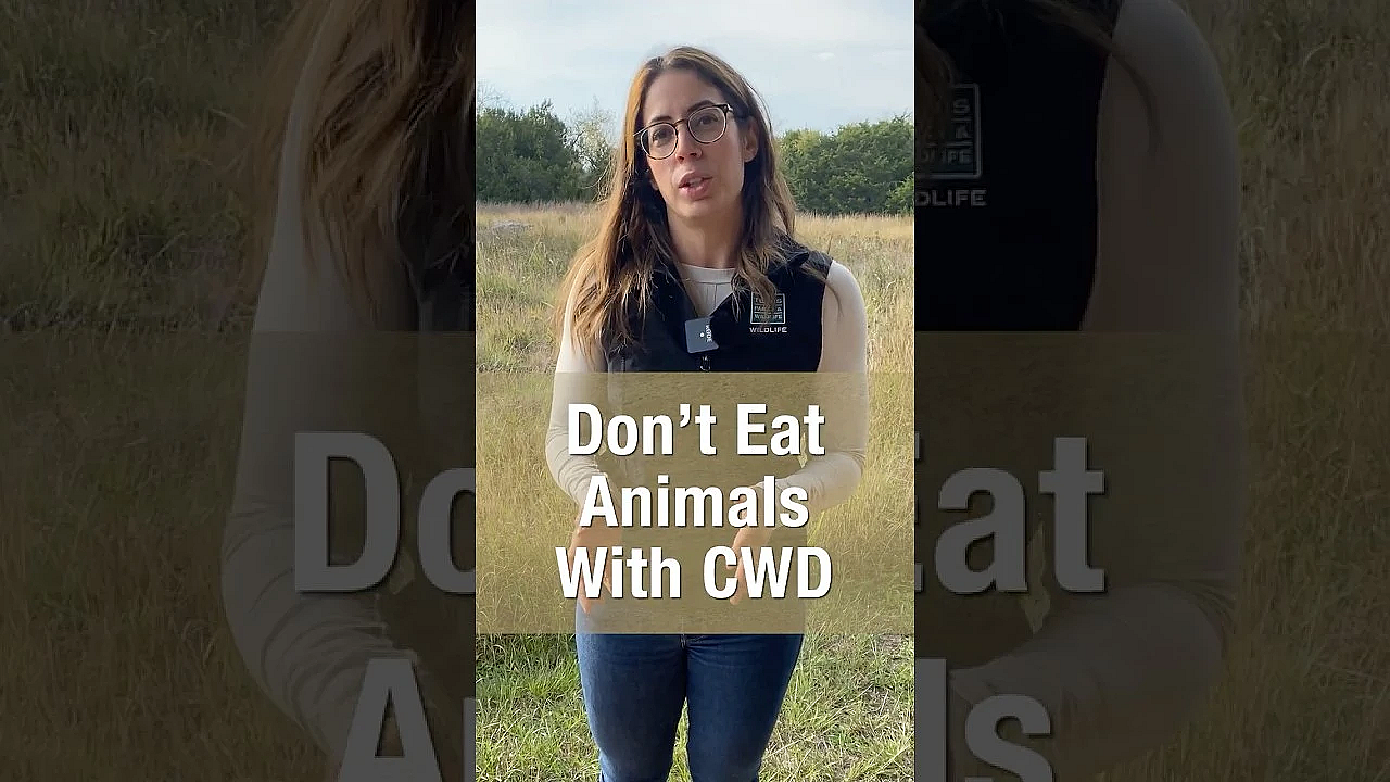 What To Know About Chronic Wasting Disease