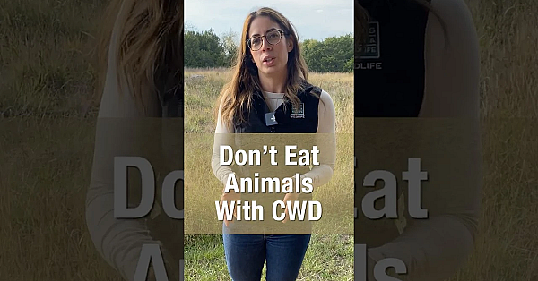 What To Know About Chronic Wasting Disease