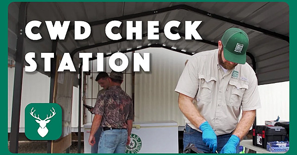 What To Expect At A Cwd Check Station
