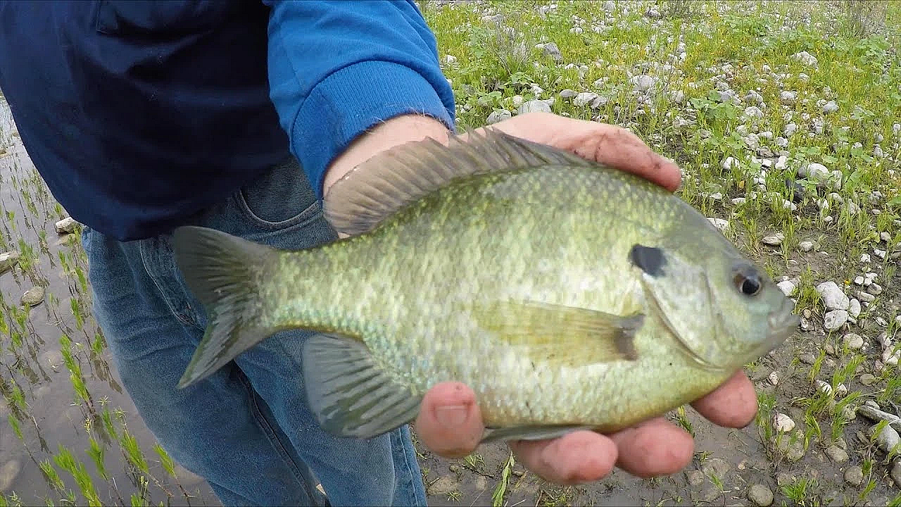 Fishing For Records - Texas Parks &amp; Wildlife [official]