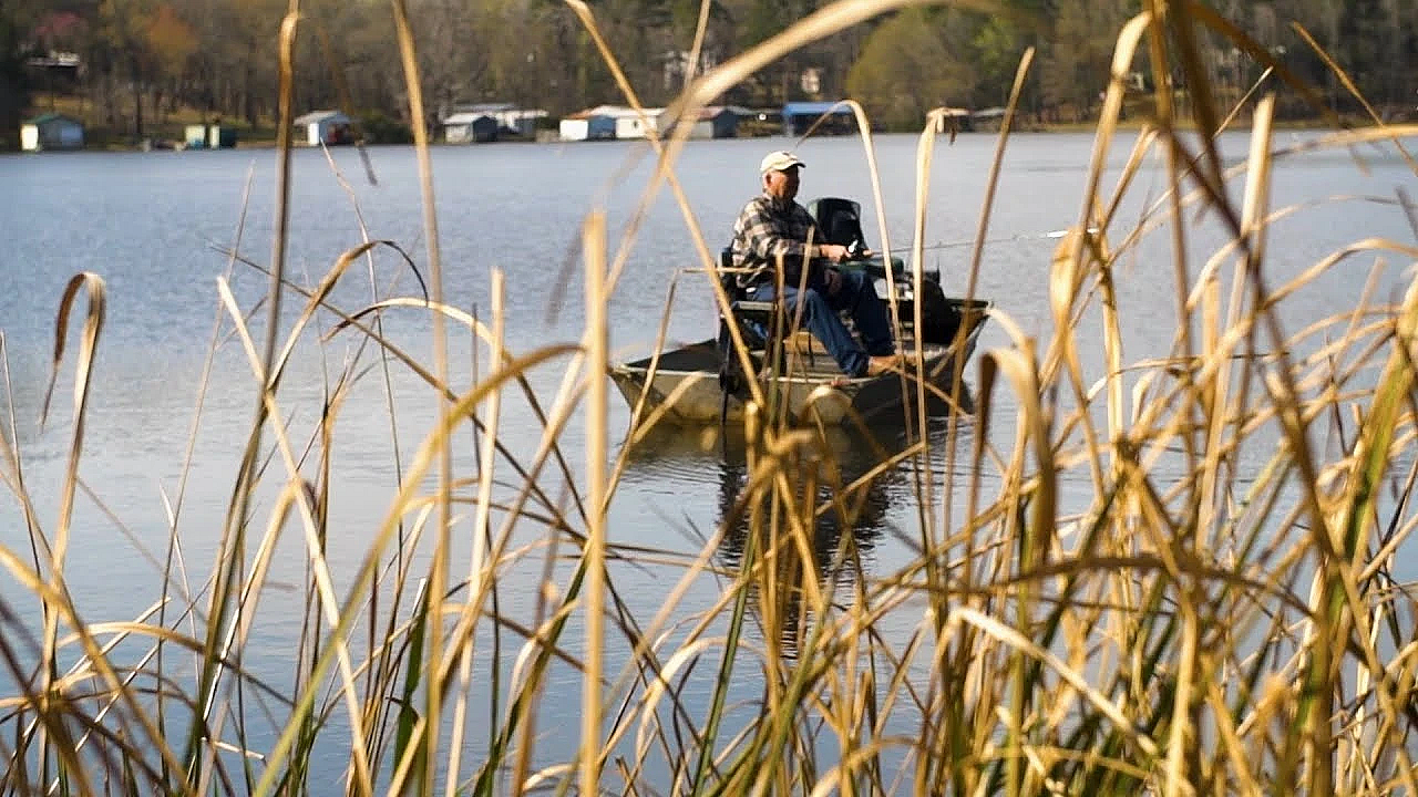 Pbs Show, Fishing Fame, Hardwood Heaven, Lbj’s Park, #2812