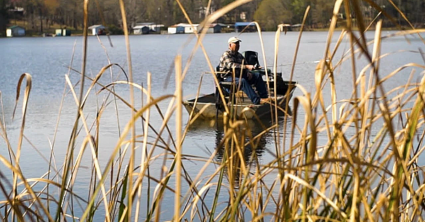 Pbs Show, Fishing Fame, Hardwood Heaven, Lbj’s Park, #2812