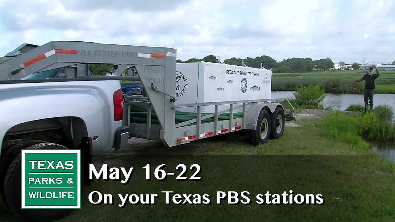 Pbs Preview - Fishing The Texas Coast - #2906