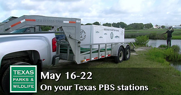 Pbs Preview - Fishing The Texas Coast - #2906