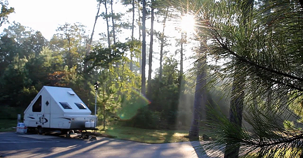 Bastrop State Park - Texas Parks &amp; Wildlife [official]