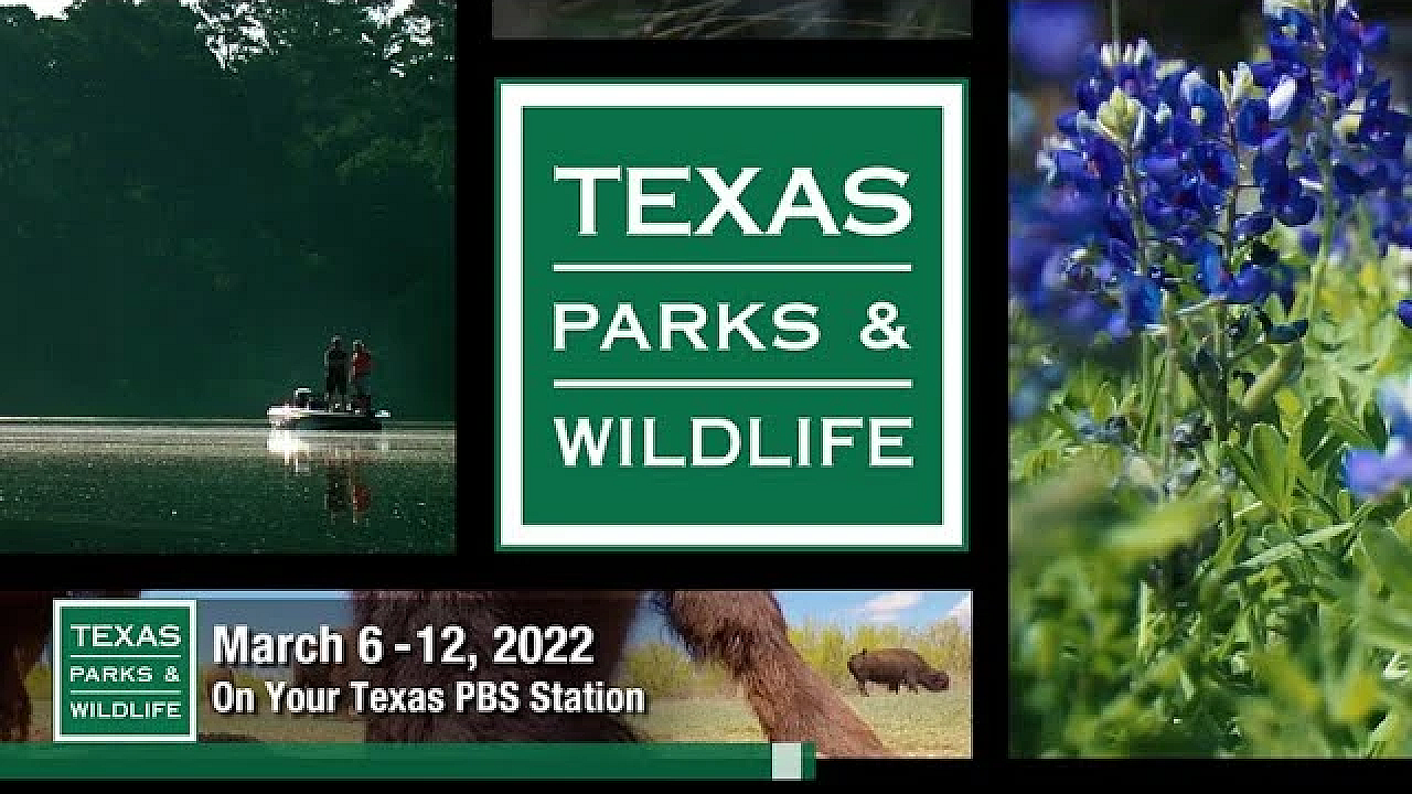 Pbs Preview - Timeless Trail, Happy Multitasker &amp; Wind Power Questions