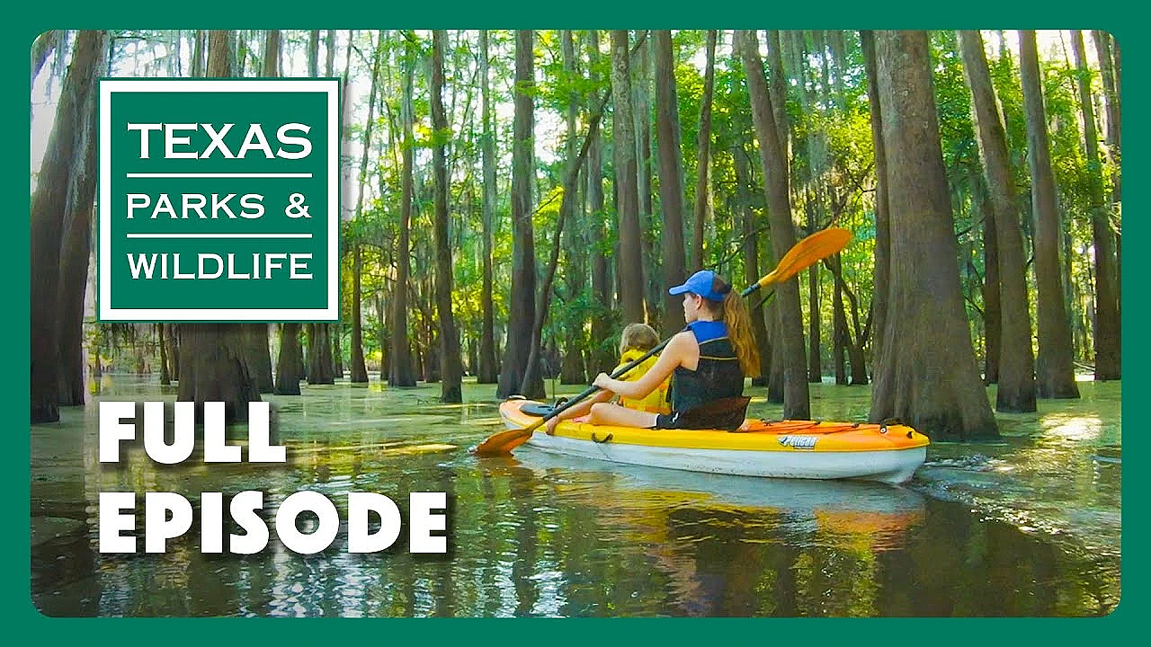 Pbs Show - Caddo Lake State Park &amp; More