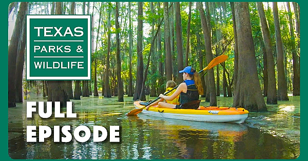 Pbs Show - Caddo Lake State Park &amp; More