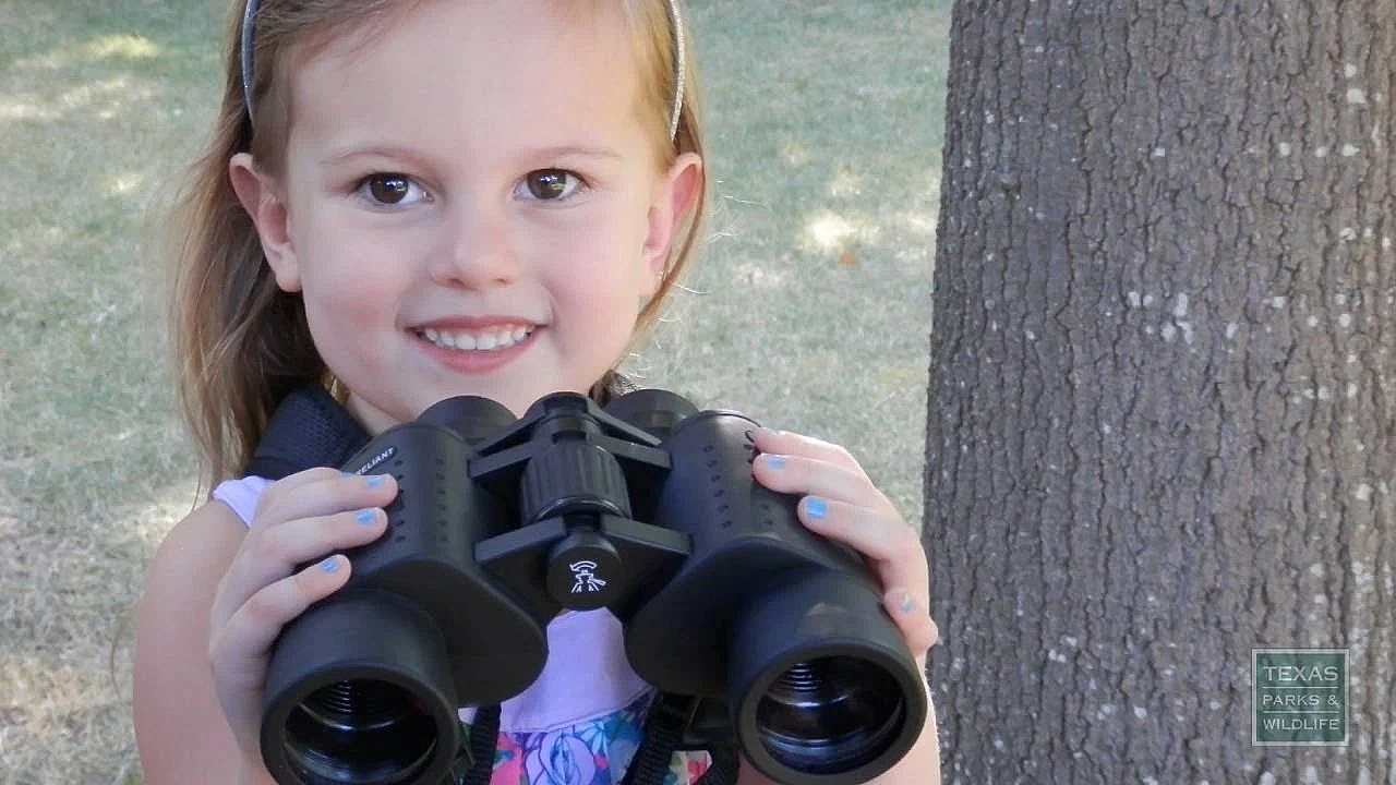 Birding With Children - Tips From A Wildlife Biologist