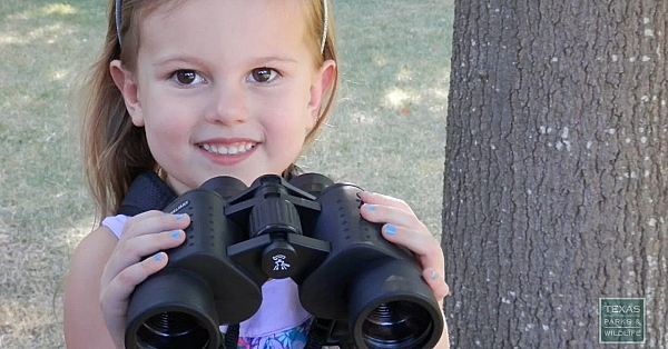 Birding With Children - Tips From A Wildlife Biologist