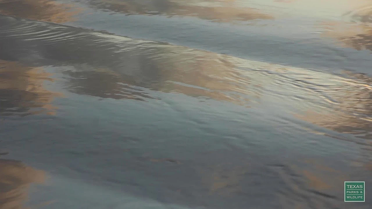 Port Aransas Beach - Postcard From Texas