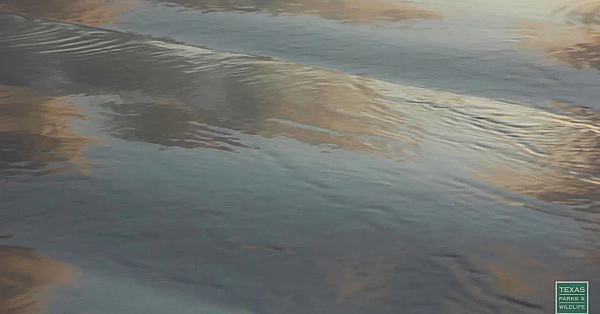 Port Aransas Beach - Postcard From Texas