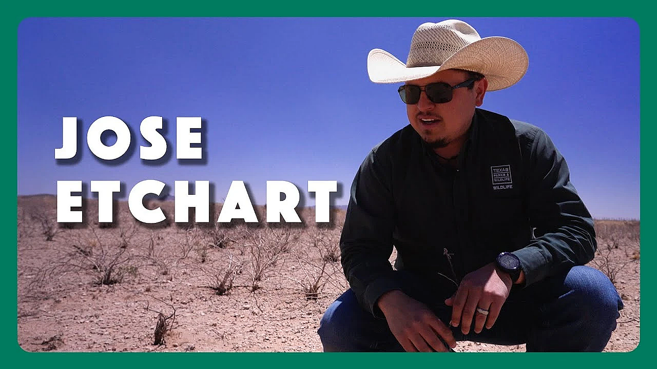 Jose Etchart - Conservation