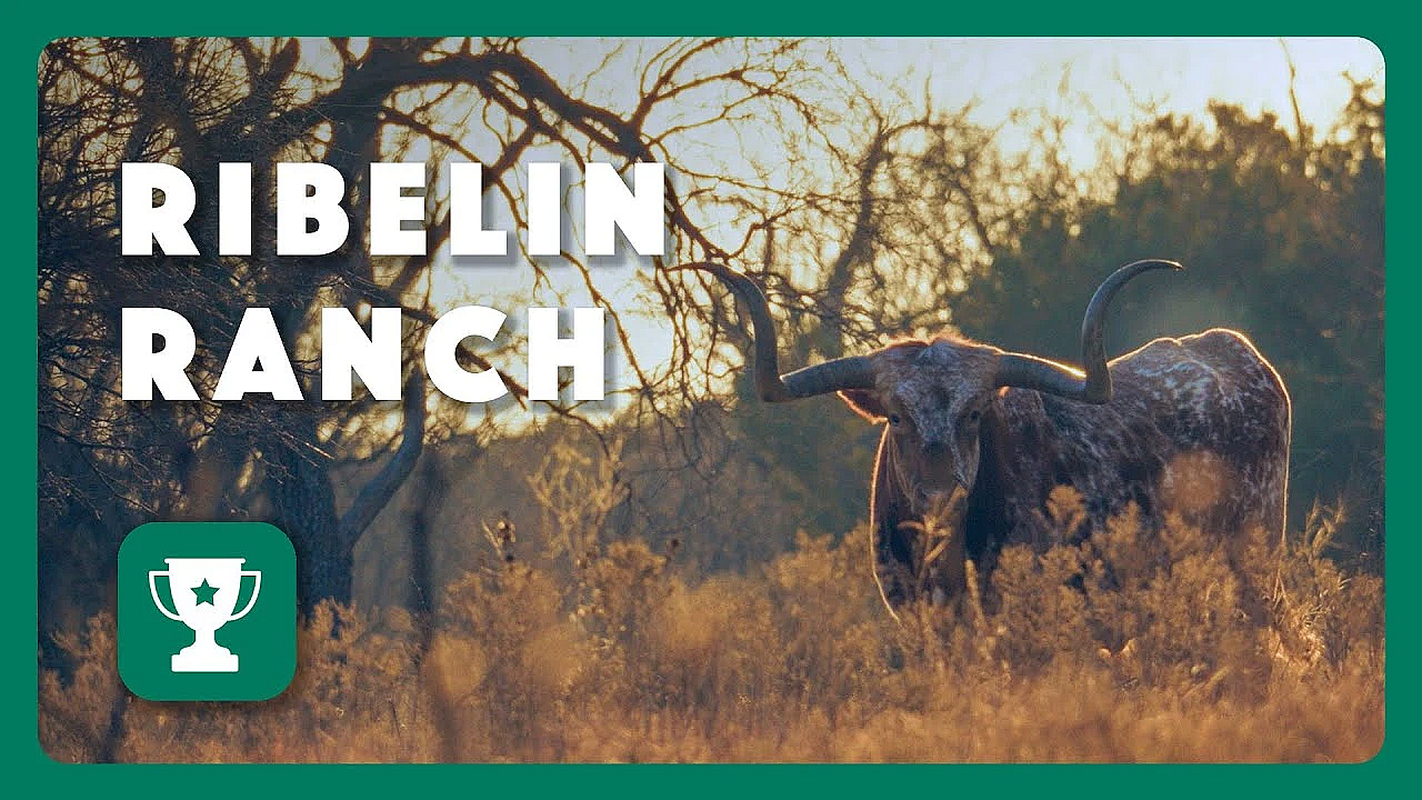 Ribelin Ranch - 2025 Lone Star Land Steward
