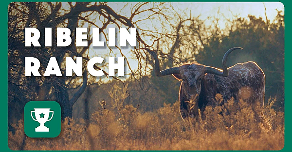 Ribelin Ranch - 2025 Lone Star Land Steward