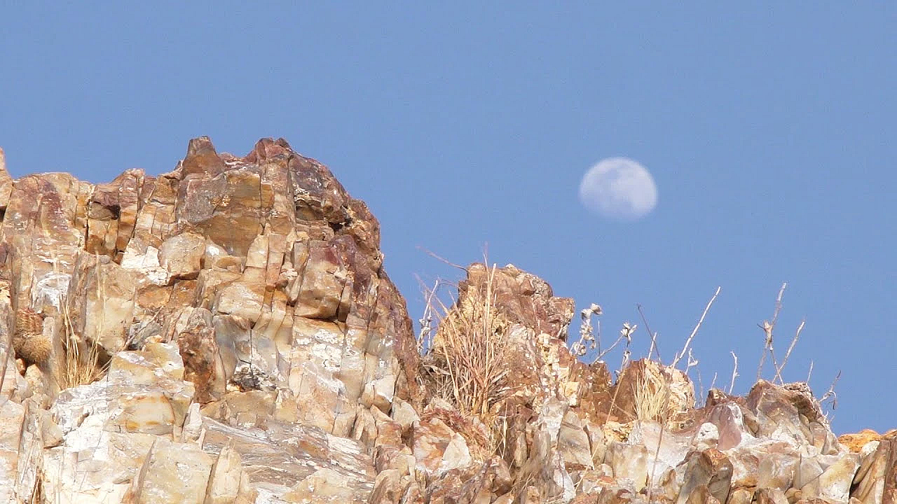 Pbs Show- Saving Sharks, Indian Springs &amp; Parks On The Air