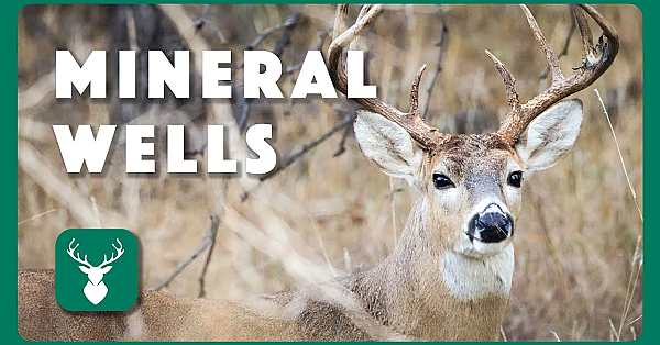 Winter At Lake Mineral Wells - Postcard From Texas