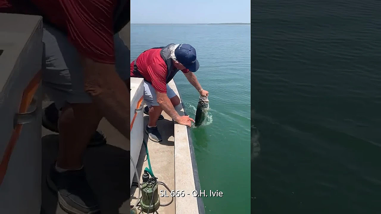 Back They Go To Grow #biggerbetterbass