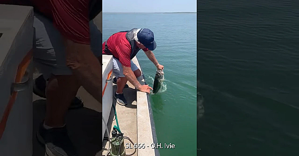 Back They Go To Grow #biggerbetterbass