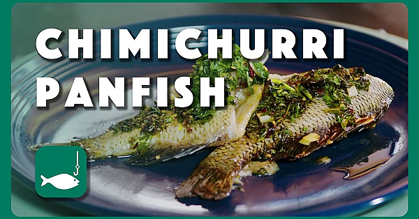 How To Cook Chimichurri Roasted Panfish