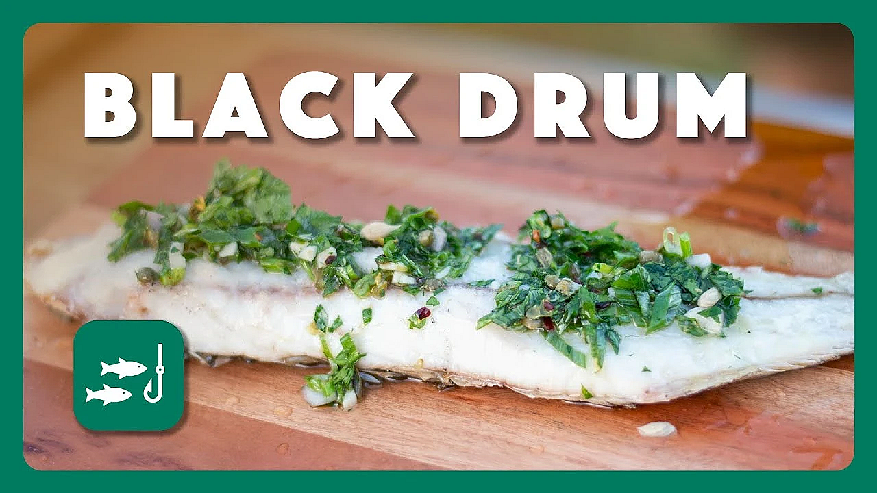 Black Drum On A Half Shell