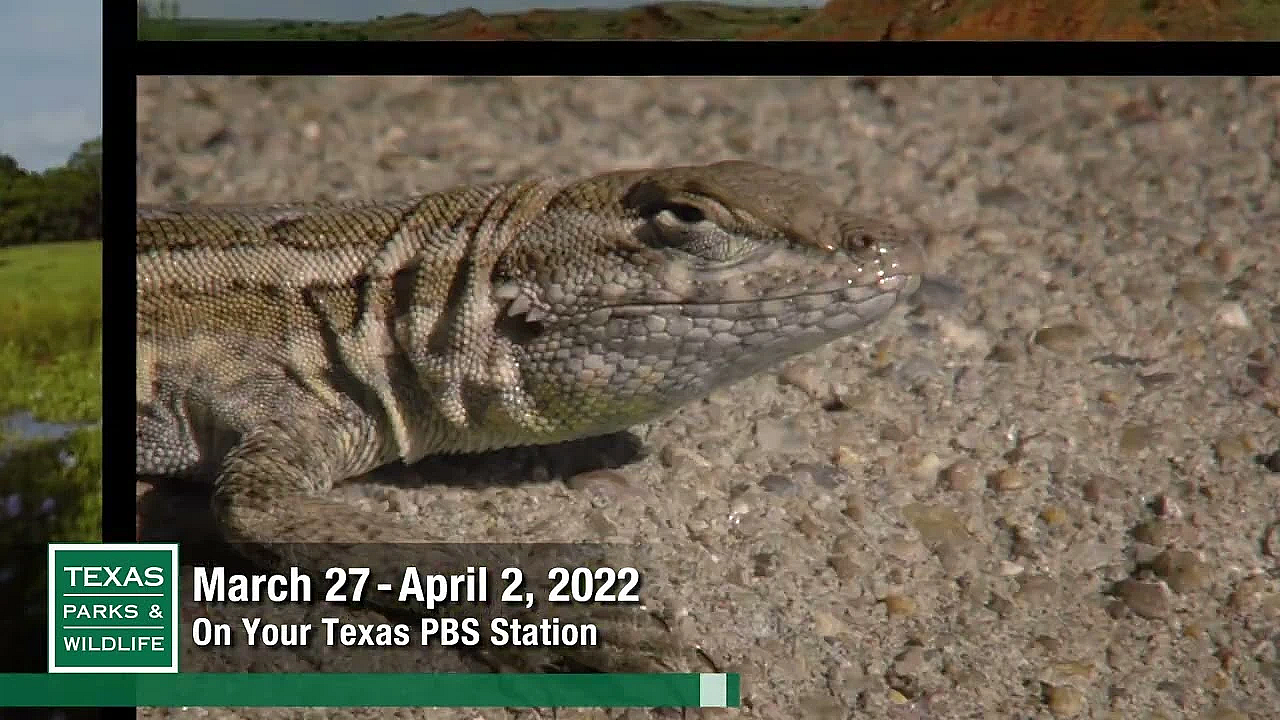 Pbs Preview - Operation Snap, Cave People &amp; Desert Dunes