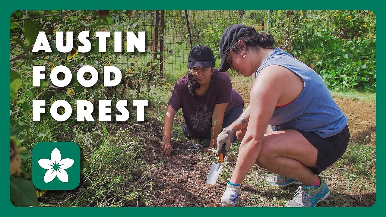 Austin Food Forest