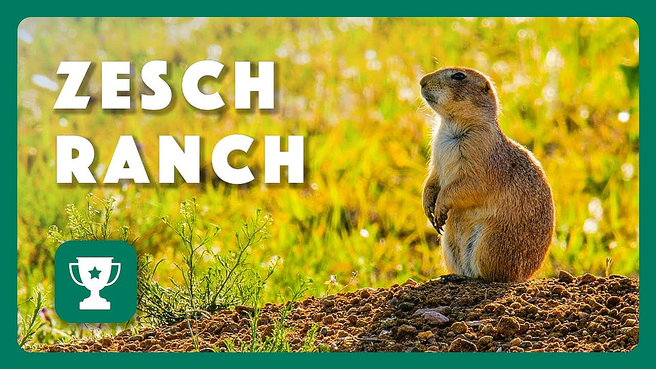 2023 Lone Star Land Steward: Zesch Family Ranch