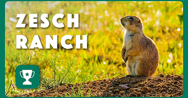 2023 Lone Star Land Steward: Zesch Family Ranch