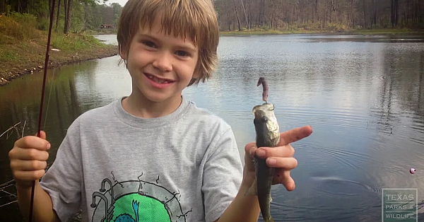 Pbs Show - Rookery Island, Fishing's Future Founder, Durable Design, #2917