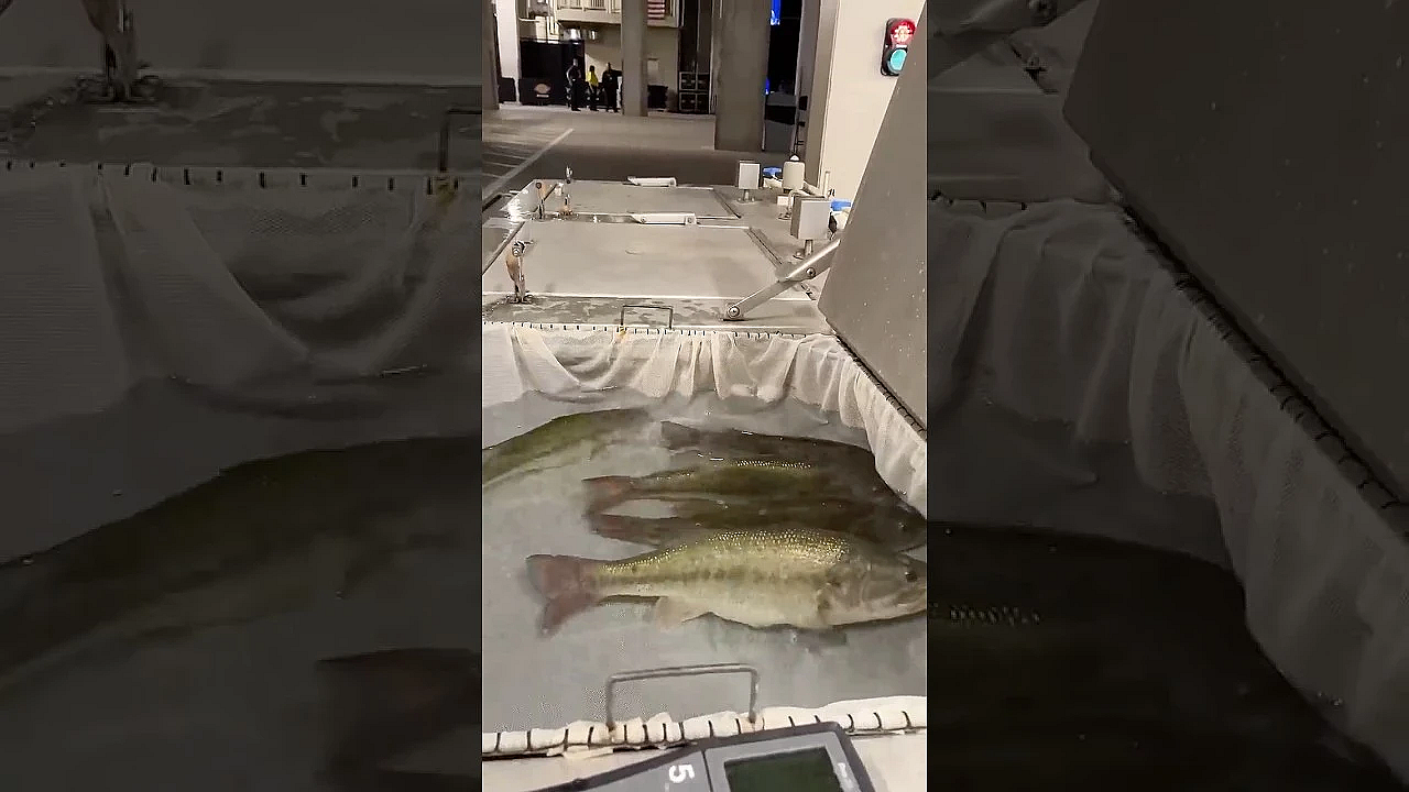 Fish Care At The #bassclassic Super Bowl Of Bass Fishing #largemouthbass #bassmasterclassic