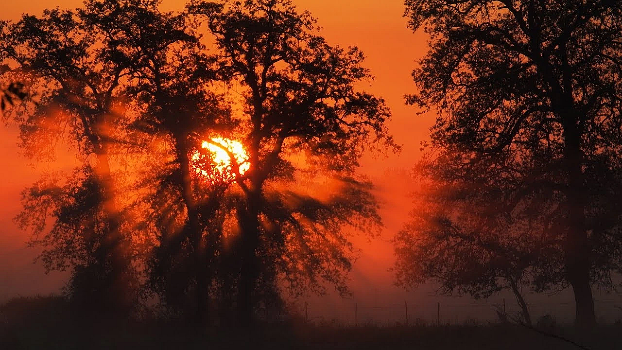 2019 Lone Star Land Steward: Lochridge Ranch