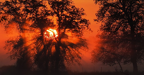 2019 Lone Star Land Steward: Lochridge Ranch