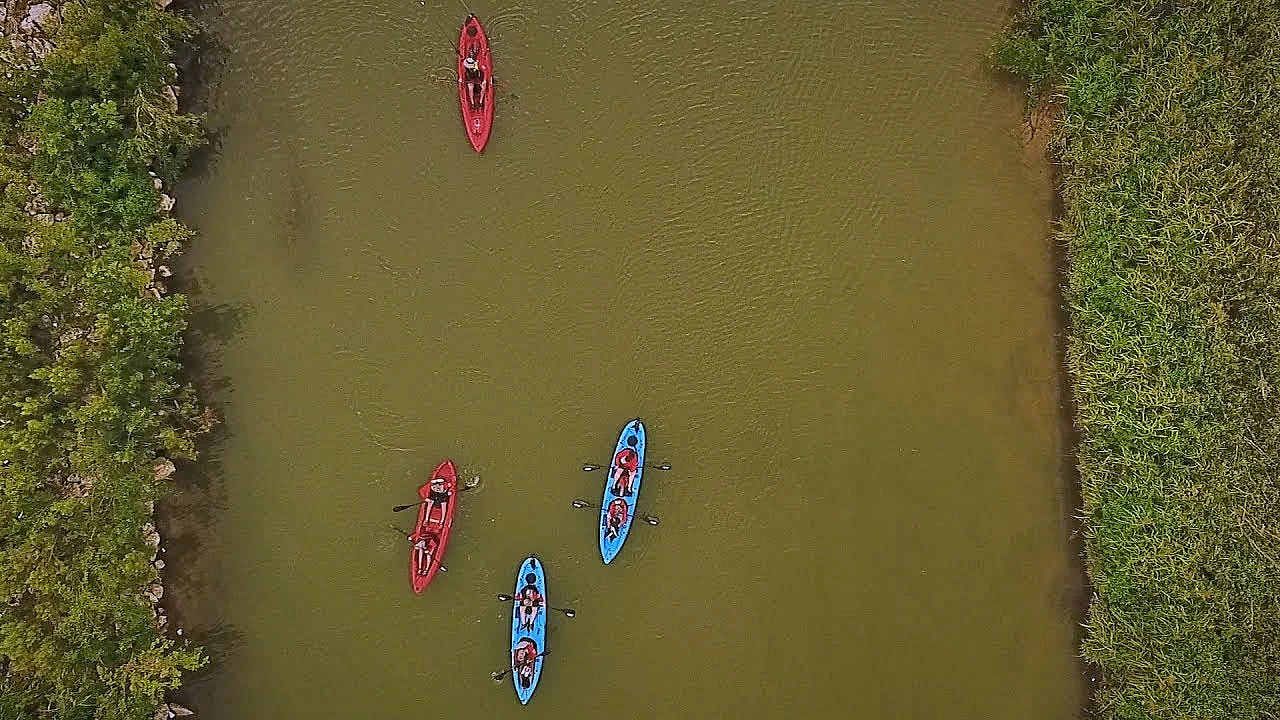 Pbs Show - San Antonio Float, Green Jays, Fanthorp Inn, #2701