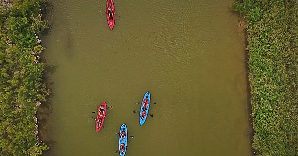 Pbs Show - San Antonio Float, Green Jays, Fanthorp Inn, #2701