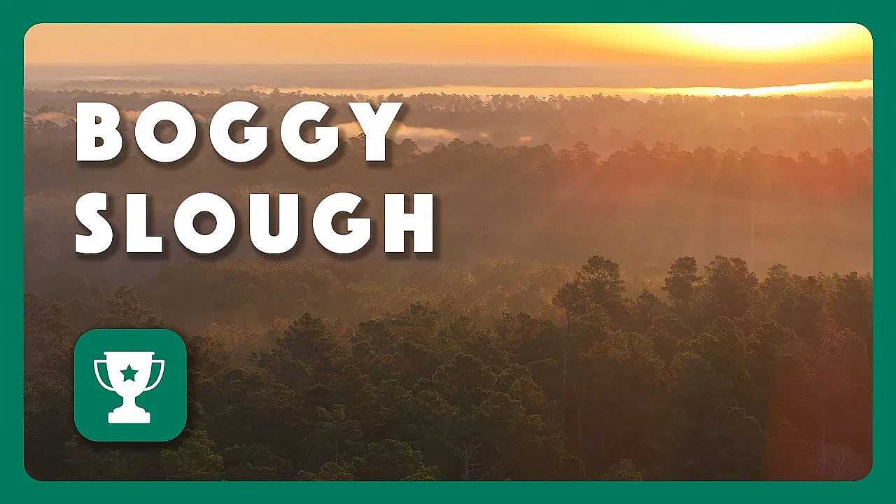 Boggy Slough Conservation Area  - 2025 Lone Star Land Steward