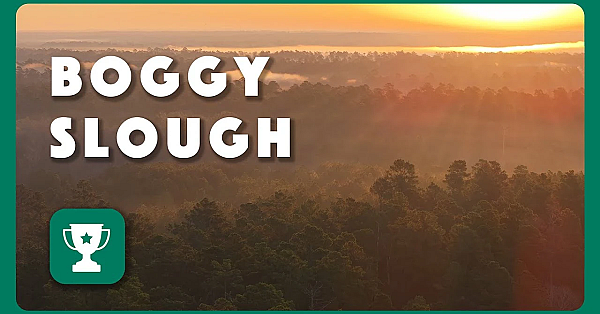 Boggy Slough Conservation Area  - 2025 Lone Star Land Steward