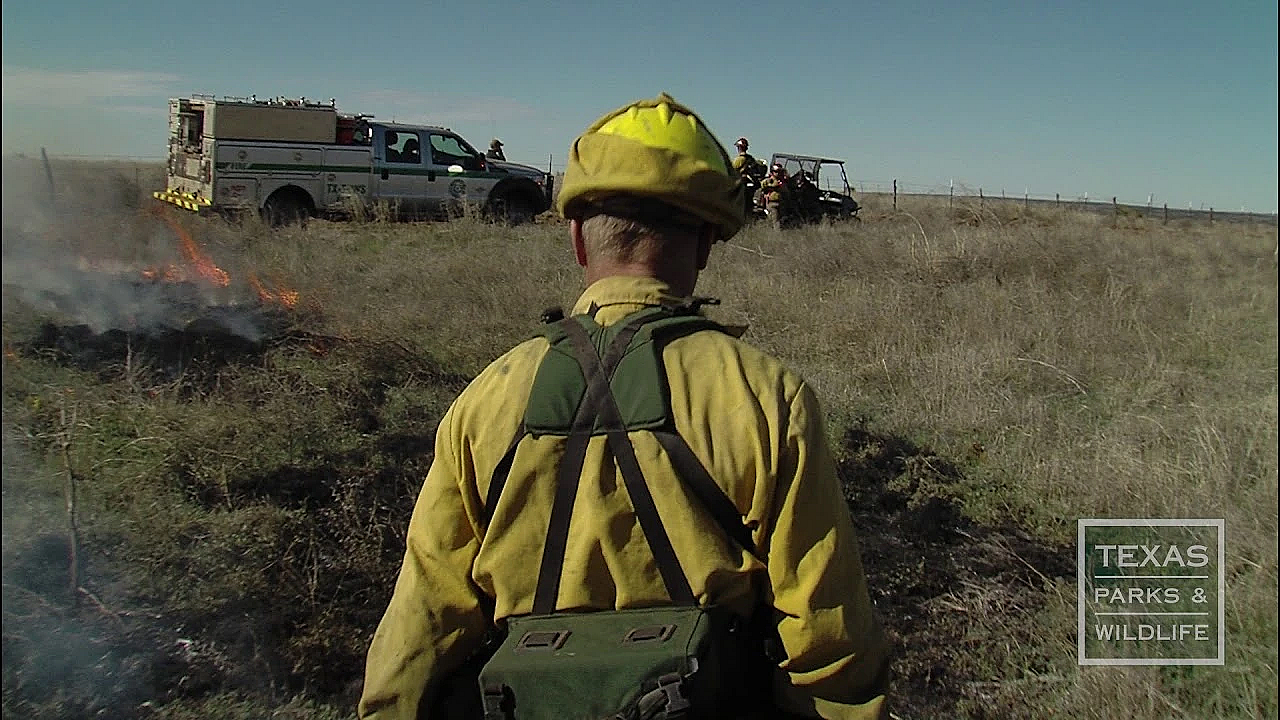 Feel The (prescribed) Burn