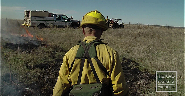 Feel The (prescribed) Burn