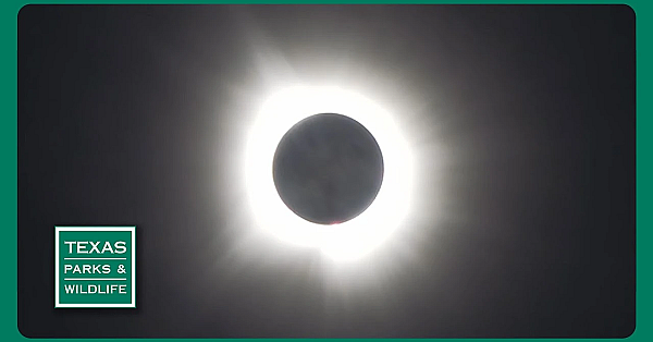 Pbs Trailer - Wild Wetlands, Paddling Port O’connor, Eclipse Village