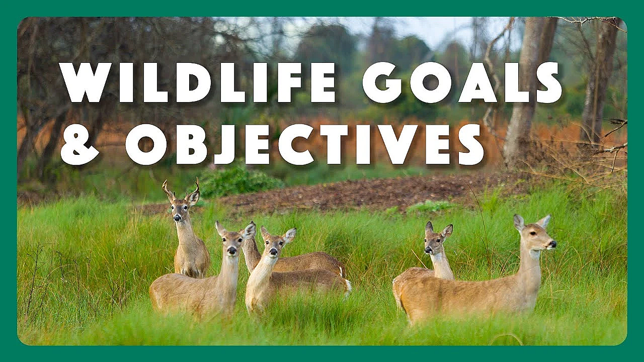Wildlife Management Goals And Objectives